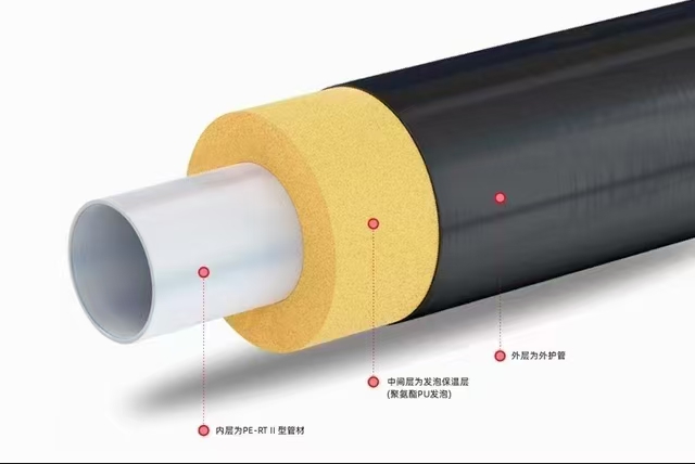 來公司的第二天(圖2)